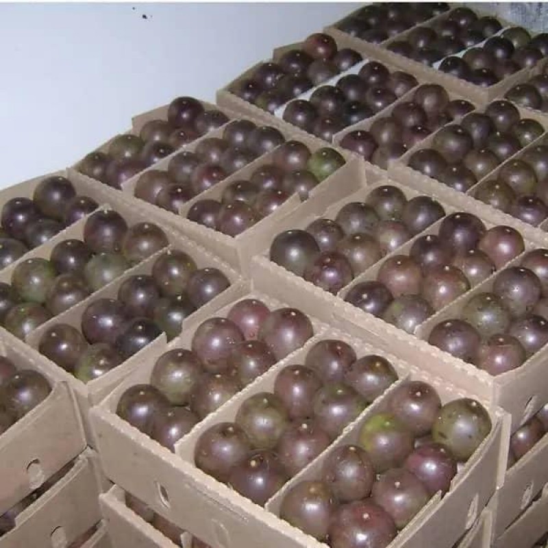 Passion fruits from Uganda